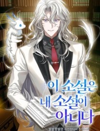 This Novel is not my Novel